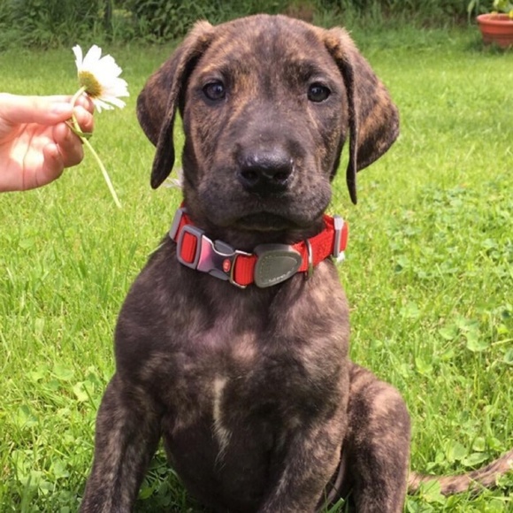 Meet your Posher, Laura - Picture 1 of 1